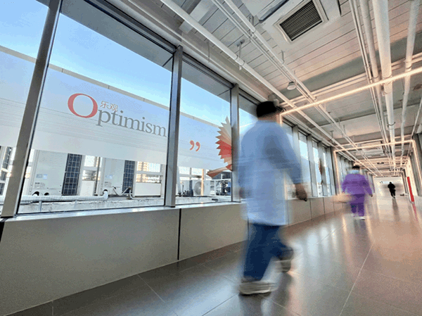 0113-08.gif 0113-08.gif