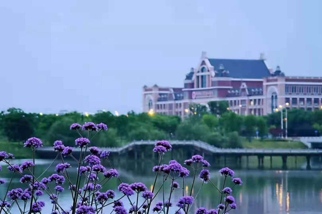 微信圖片_20220223095039 微信圖片_20220223095039