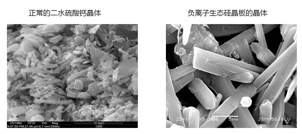 微信圖片_20220228154606 微信圖片_20220228154606
