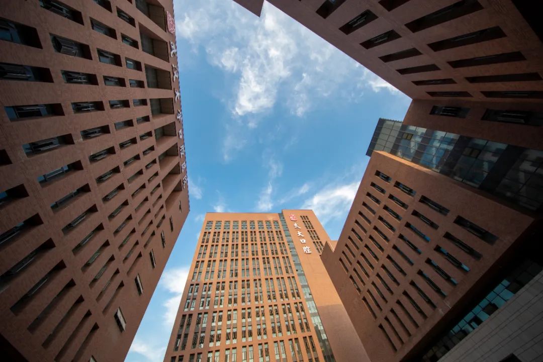 武大口腔全景圖2 武大口腔全景圖2